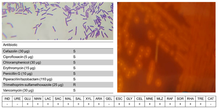 Figure 6