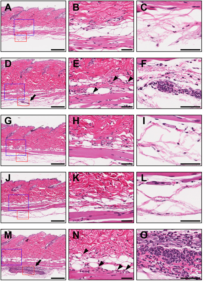 Figure 5