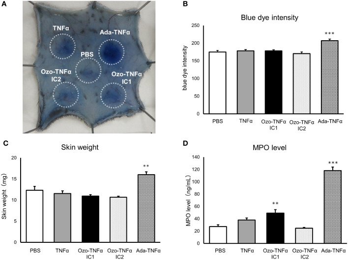 Figure 4