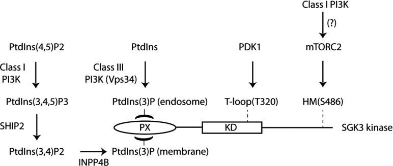 Figure 10