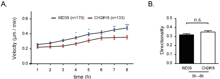 Figure 6—figure supplement 1.