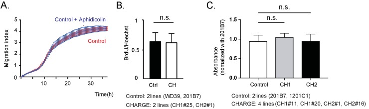 Figure 5—figure supplement 1.