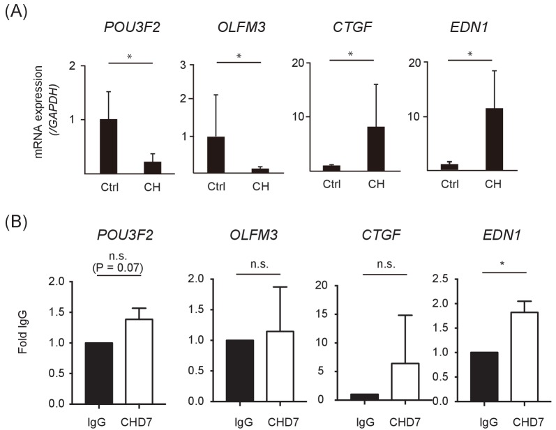 Figure 3—figure supplement 1.