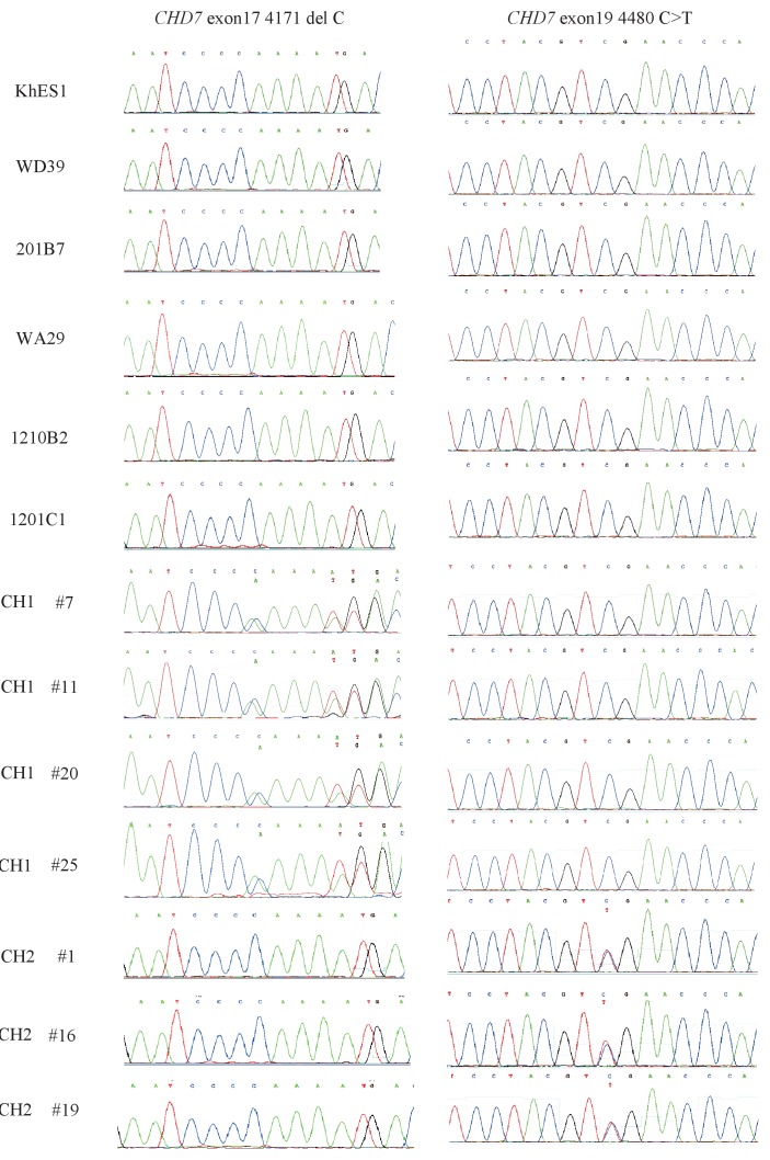 Figure 1—figure supplement 1.