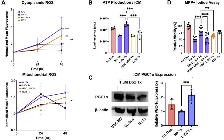 Figure 6