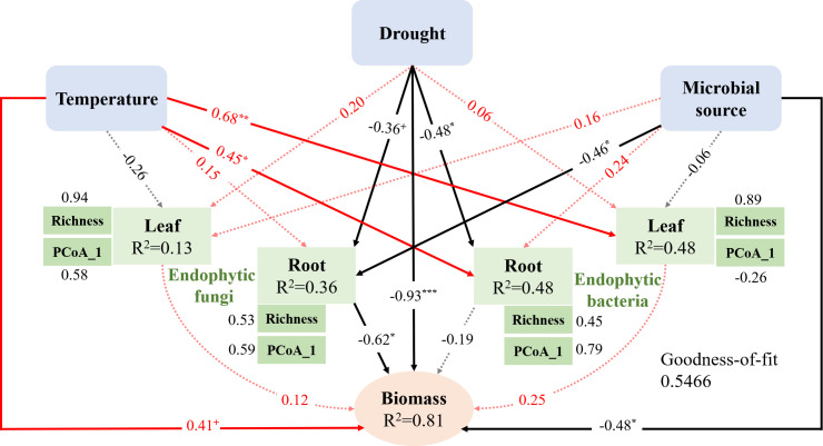Fig 7