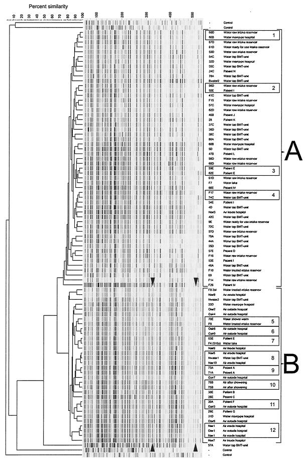 FIG.1.