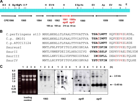 FIG. 1.