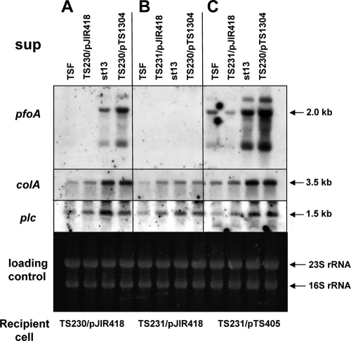 FIG. 5.