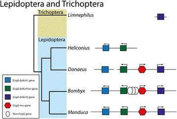 Fig. 5