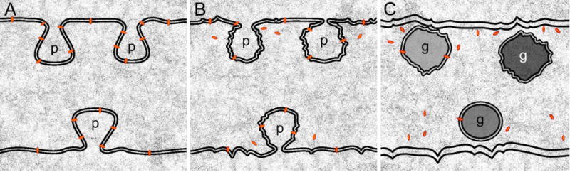 Fig. 9