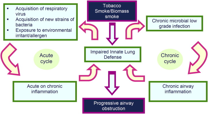 Fig. 1