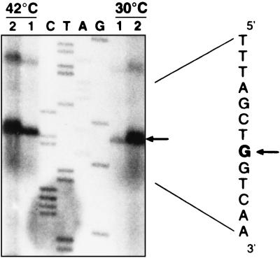 FIG. 6