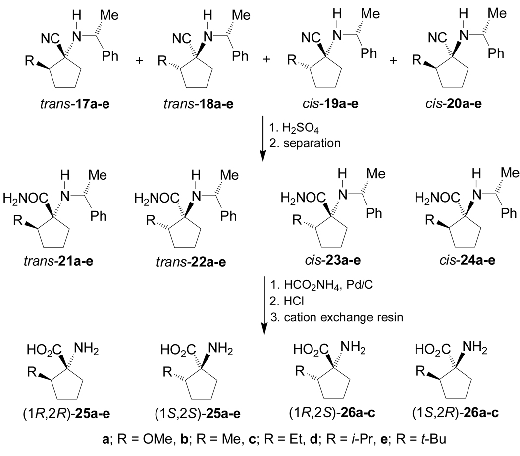 Scheme 5