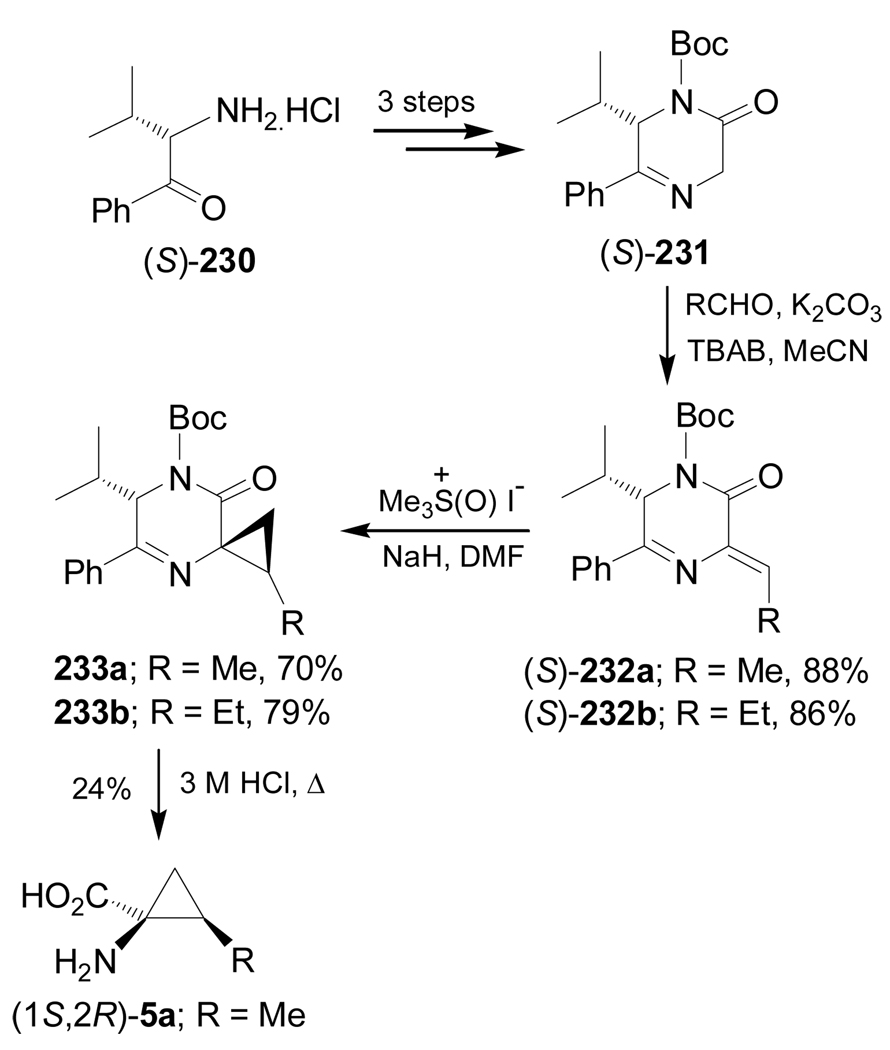 Scheme 51