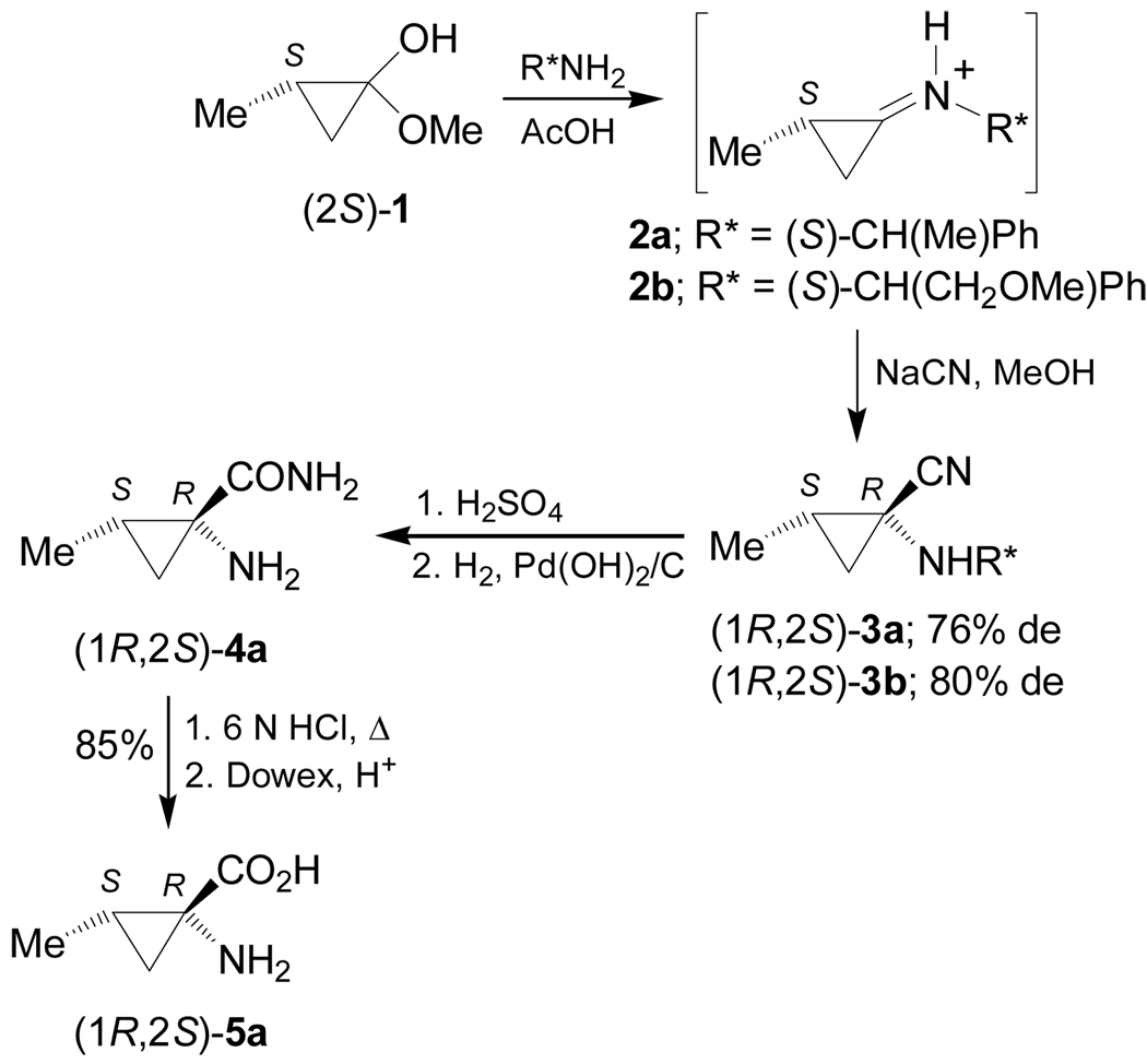 Scheme 1