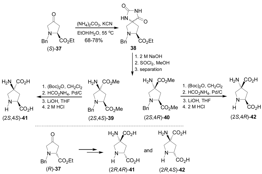 Scheme 8