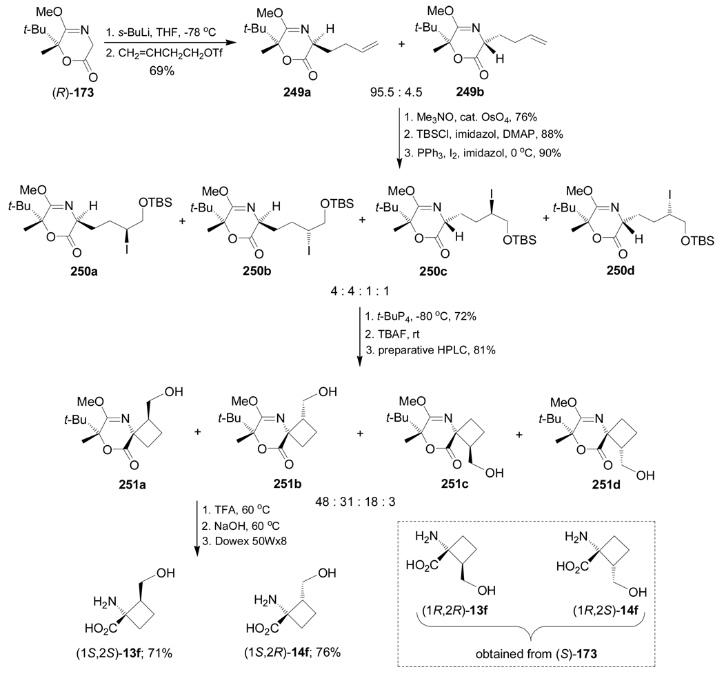 Scheme 55