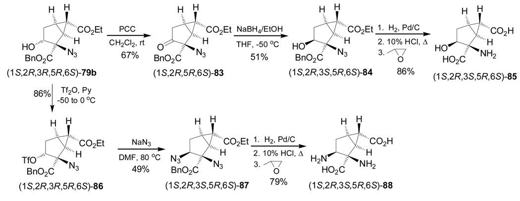 Scheme 20