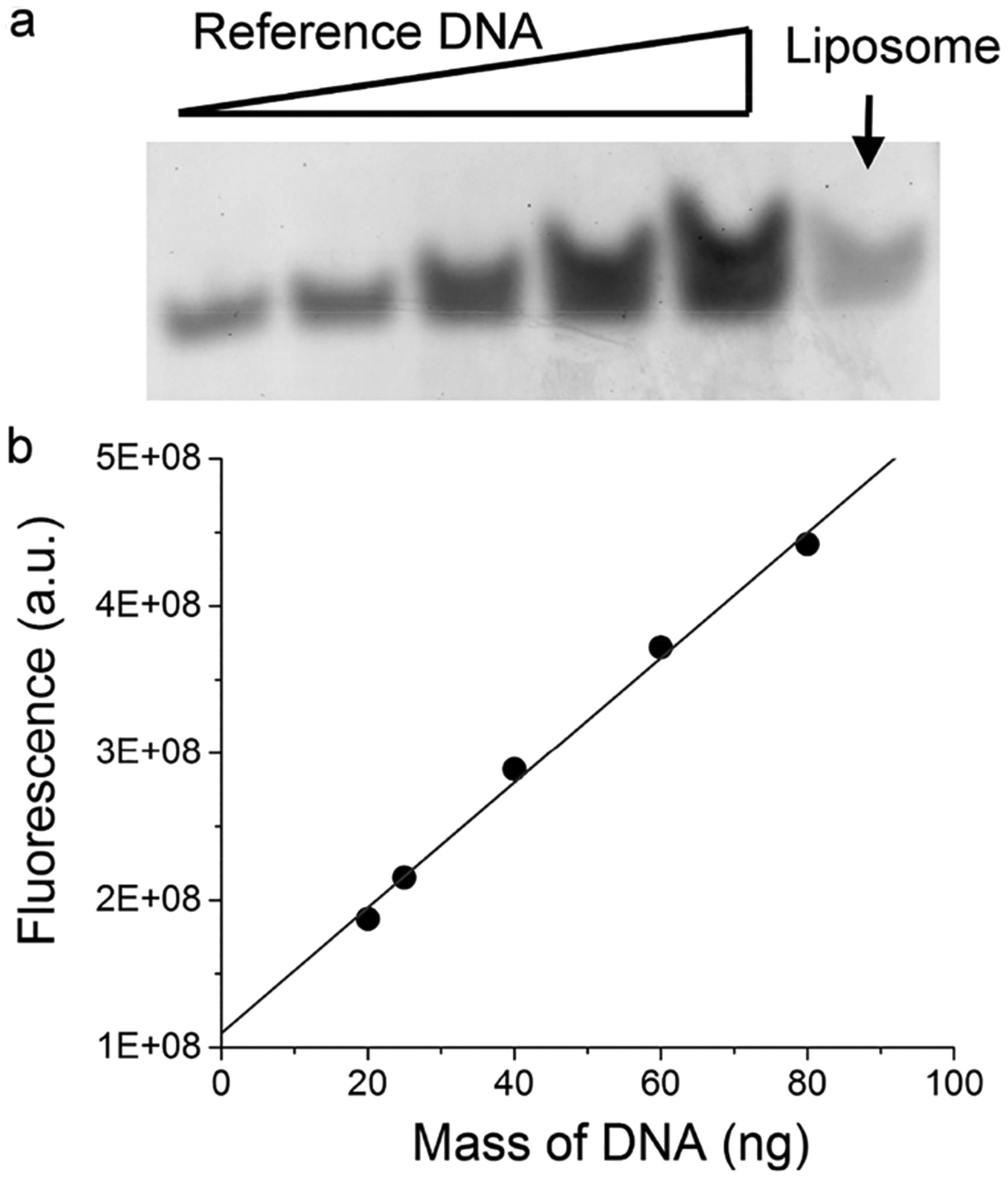 Figure 7.