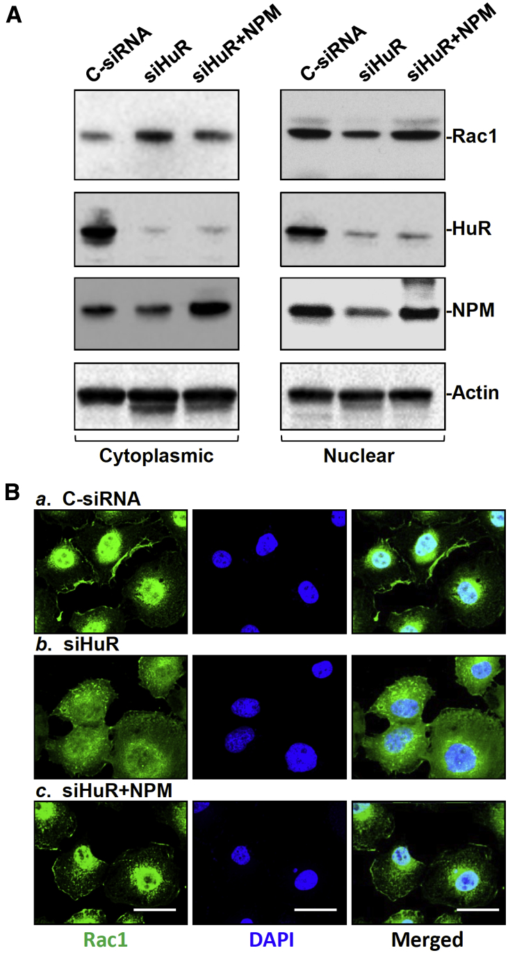 Figure 7