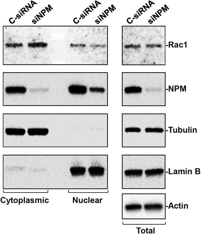 Figure 6