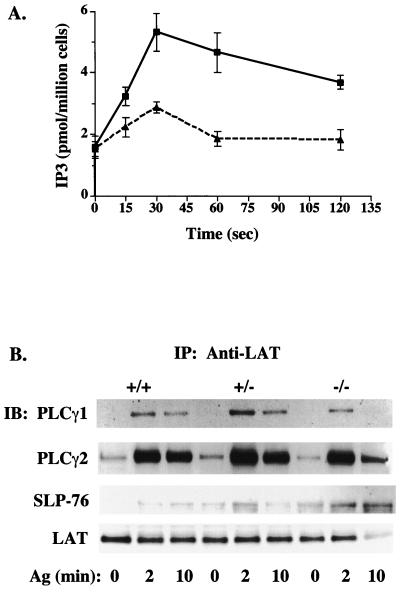 FIG. 6