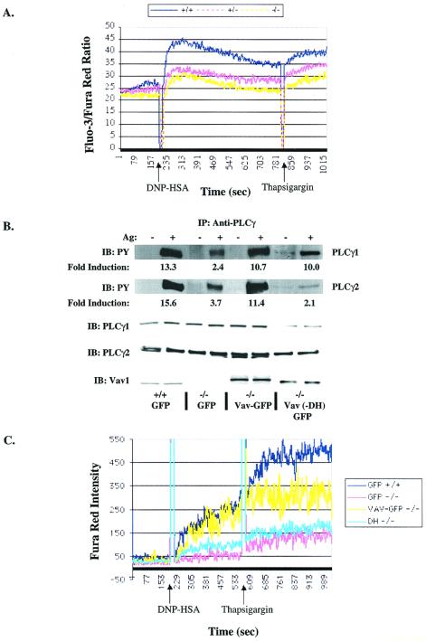 FIG. 7