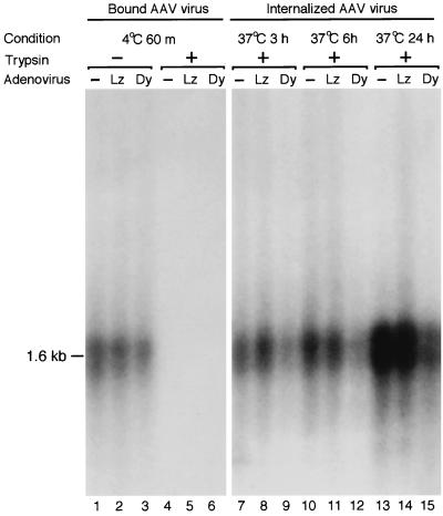 FIG. 3