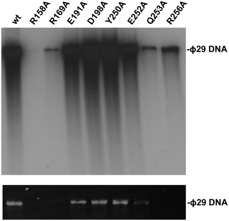 Figure 5.