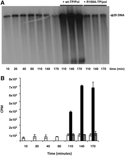 Figure 7.