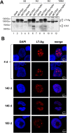 Fig 9