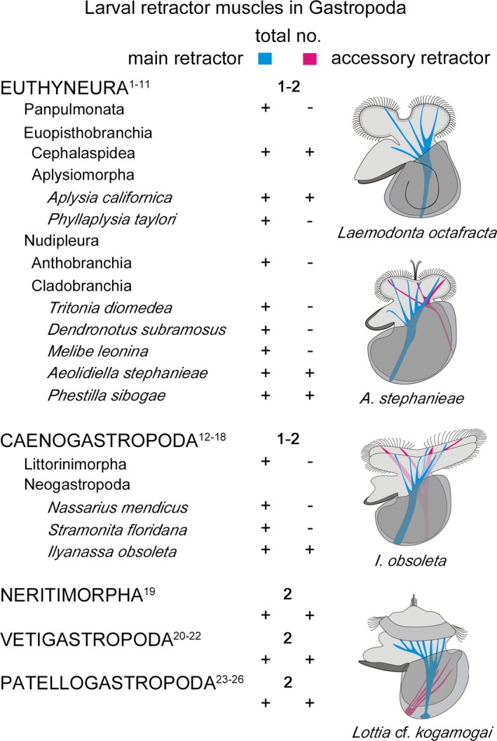 Figure 13