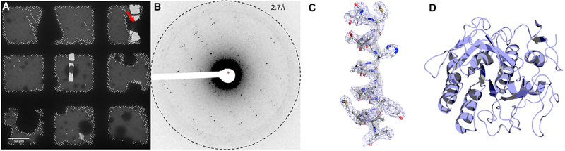 Figure 2.