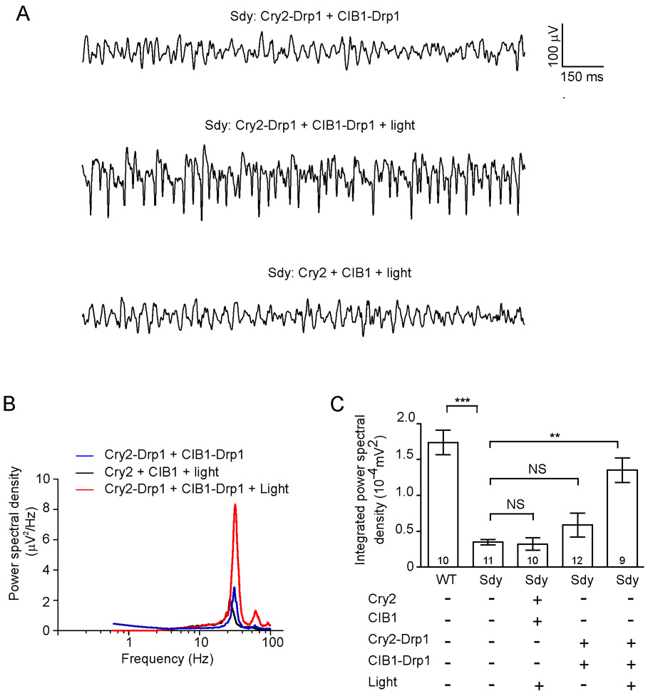 Fig. 7.