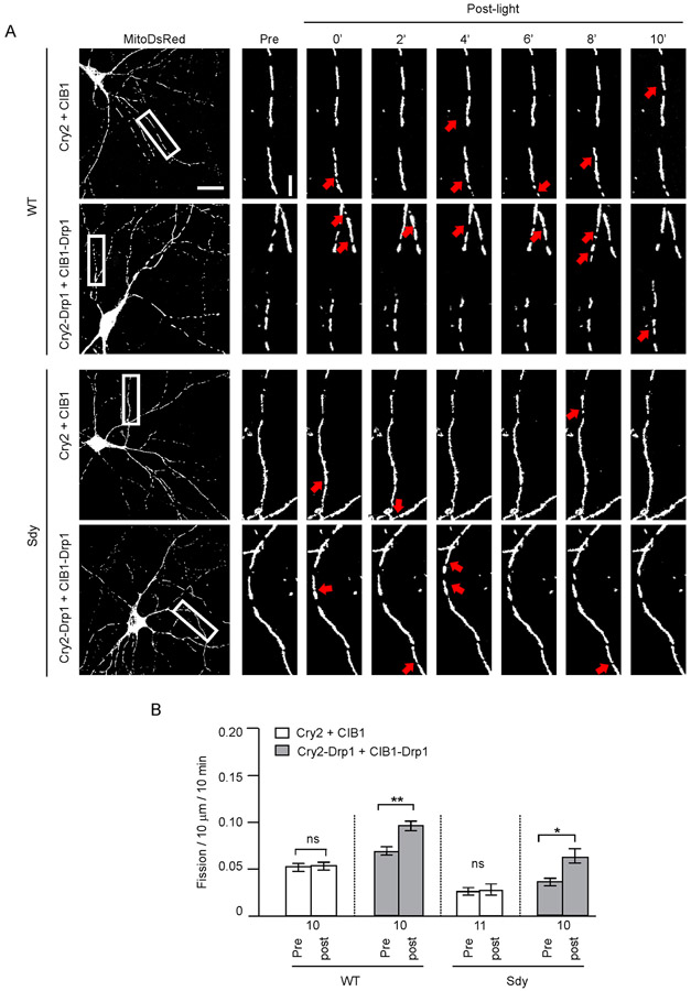 Fig. 6.