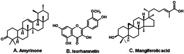 Figure 9.