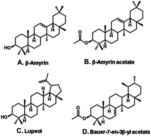 Figure 12.