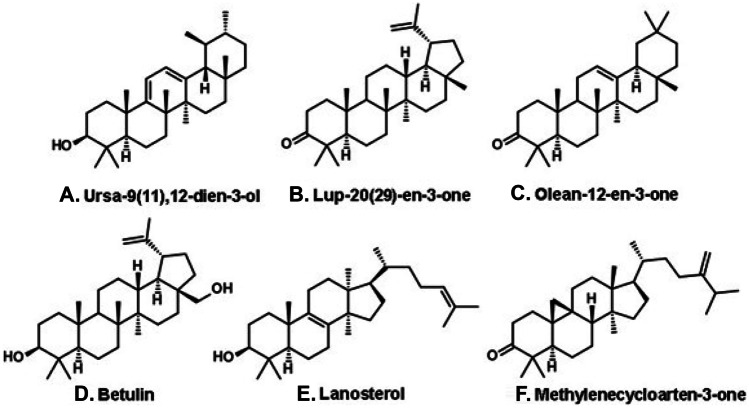 Figure 10.