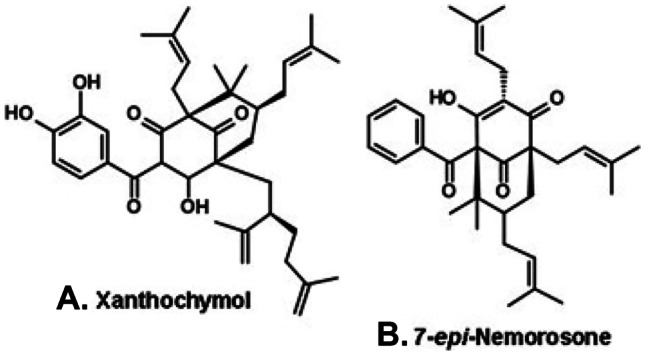 Figure 5.