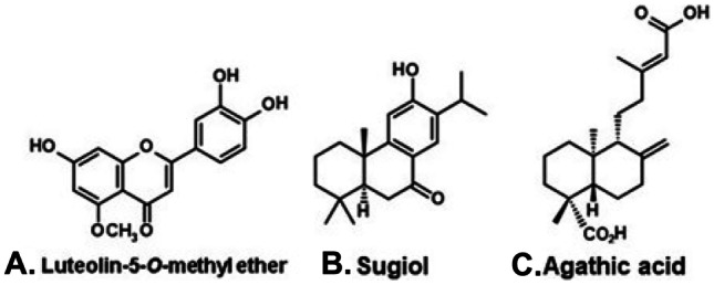 Figure 11.