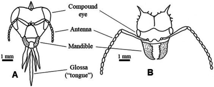 Figure 14.