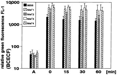 FIG. 1