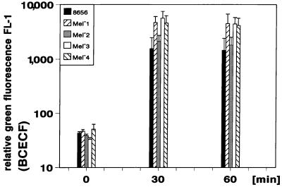 FIG. 3