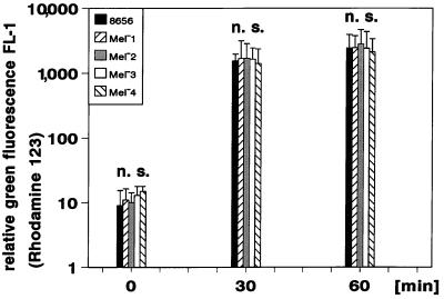 FIG. 6