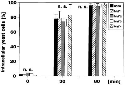 FIG. 5