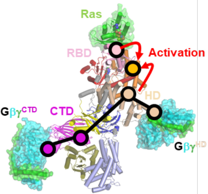 Figure 6.