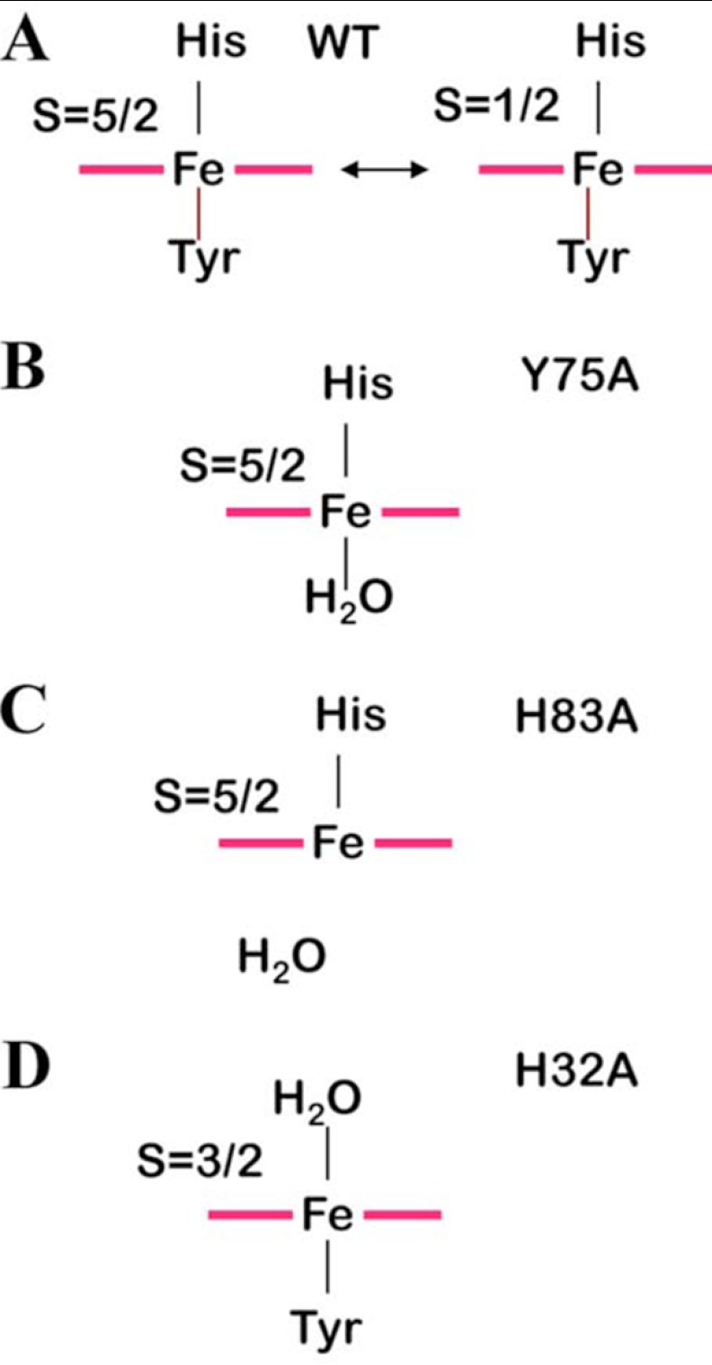 SCHEME 1.