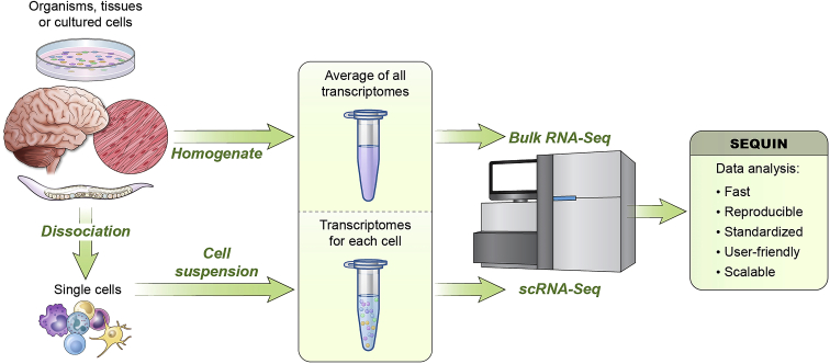 Figure 1