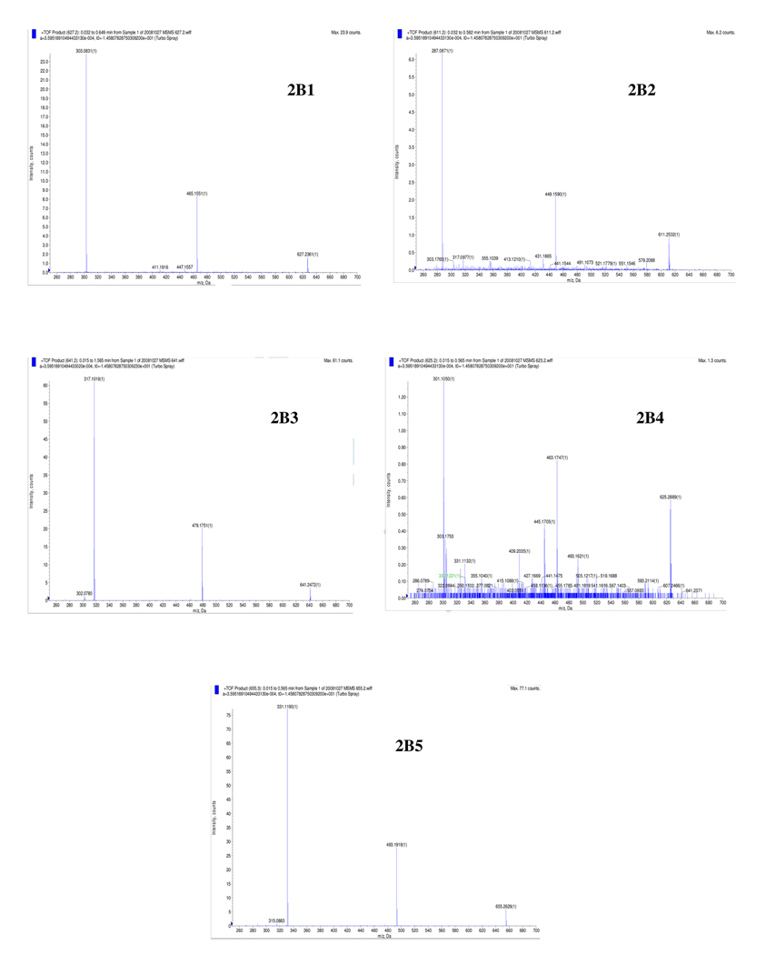 Figure 2A